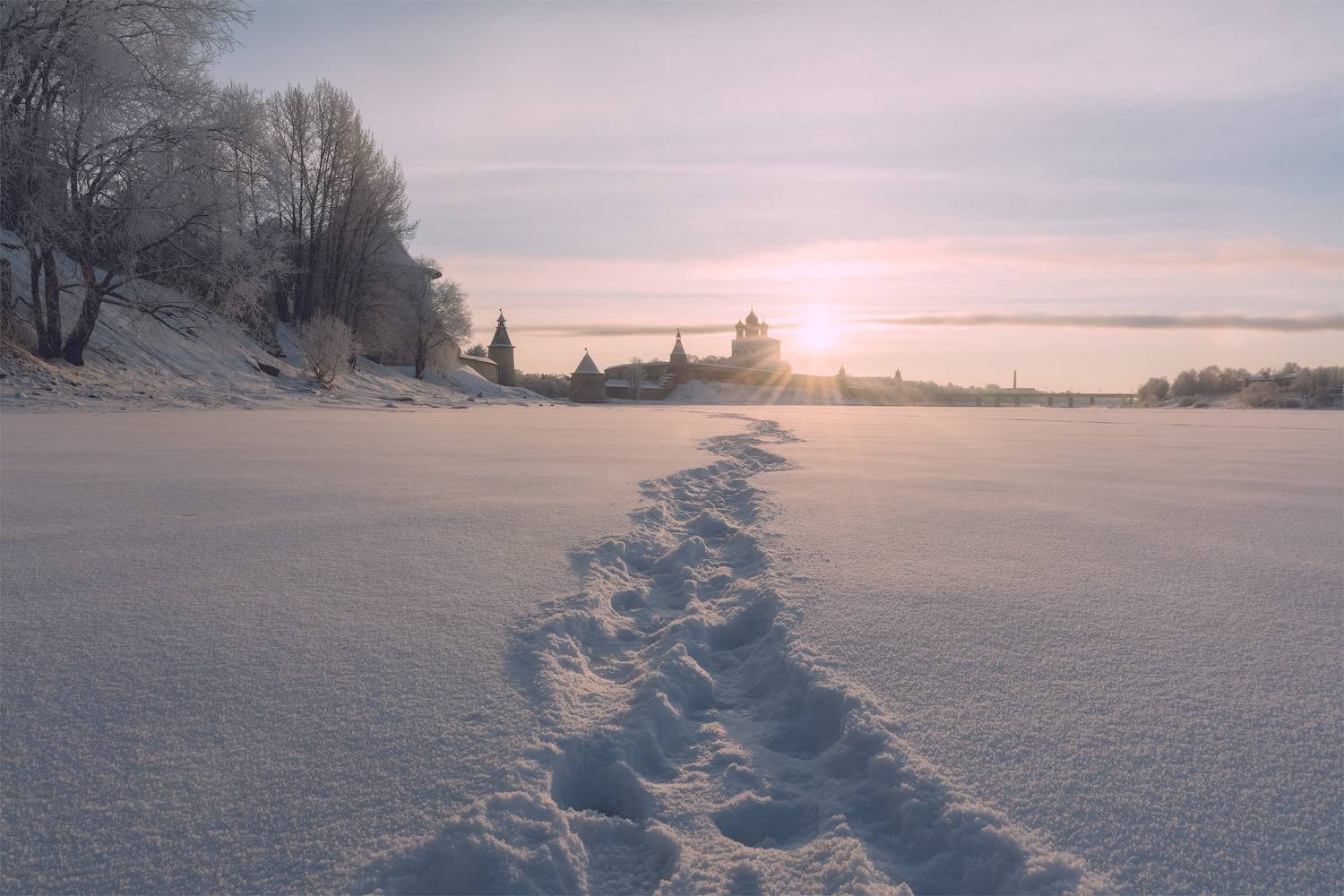 , Майя Афзаал