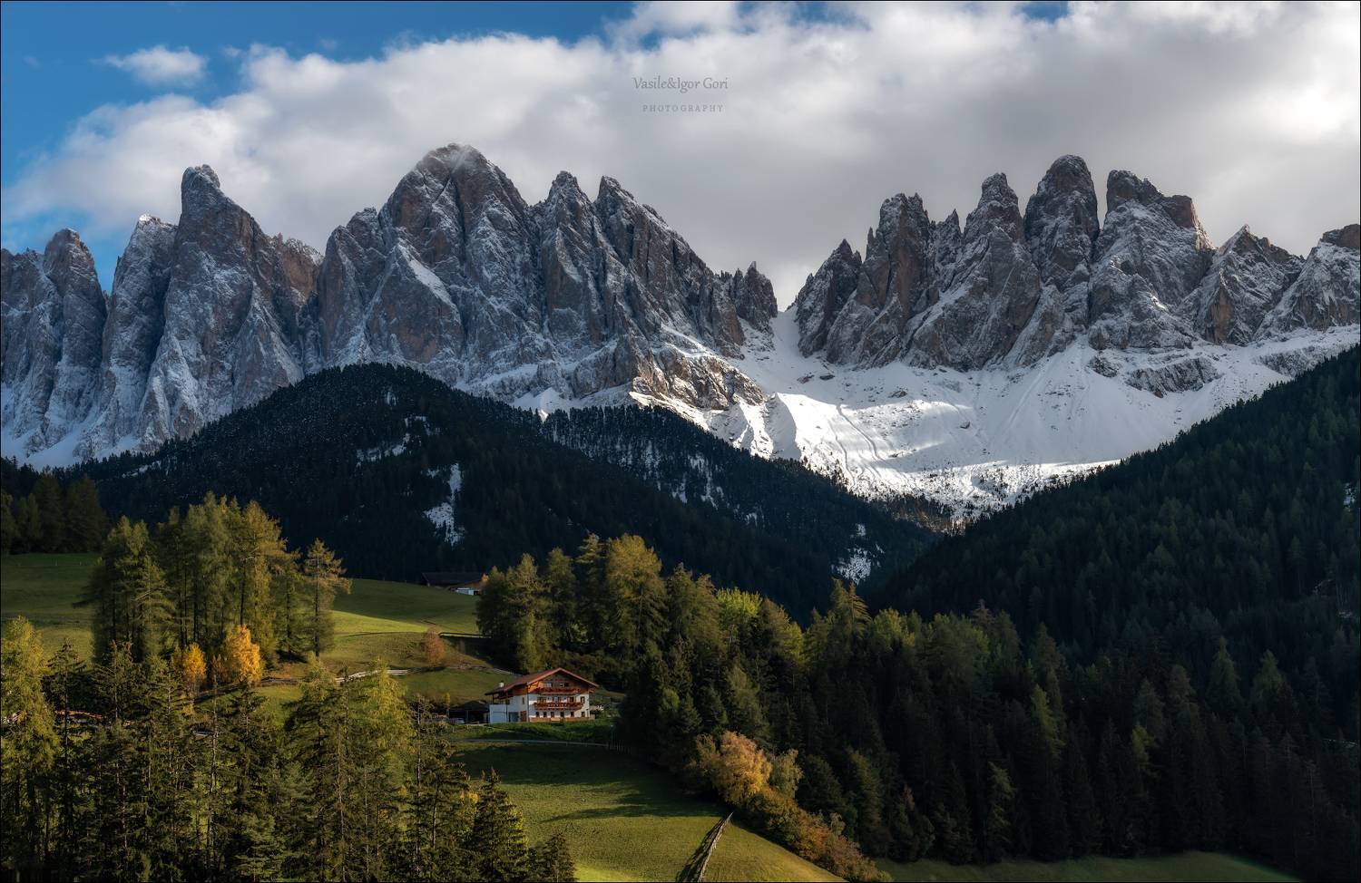 , Гори Василий