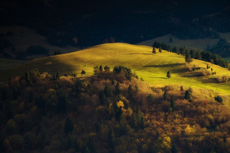 Horizontal, Mountain, Nature, Tree, Day, Autumn, Landscape, Forest, Moutain, Hill, nature, travel, Slovakia, Poland,Pieniny Hill фото превью