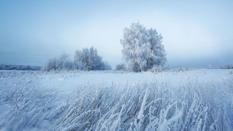 *** фото превью