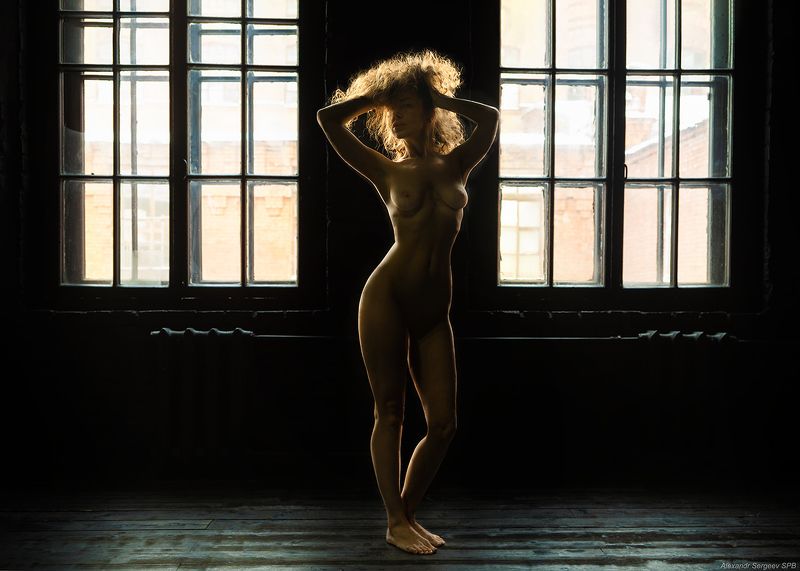 девушка, обнажённая, ню, контур, контровой, настроение Жар-птица фото превью