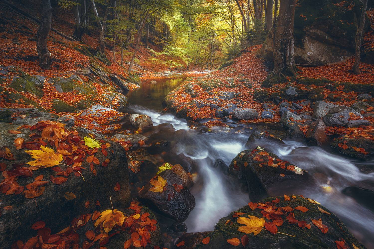 landscape, nature, scenery, forest, wood, autumn, fall, river, mountain, staraplanina, bulgaria, лес, Александров Александър