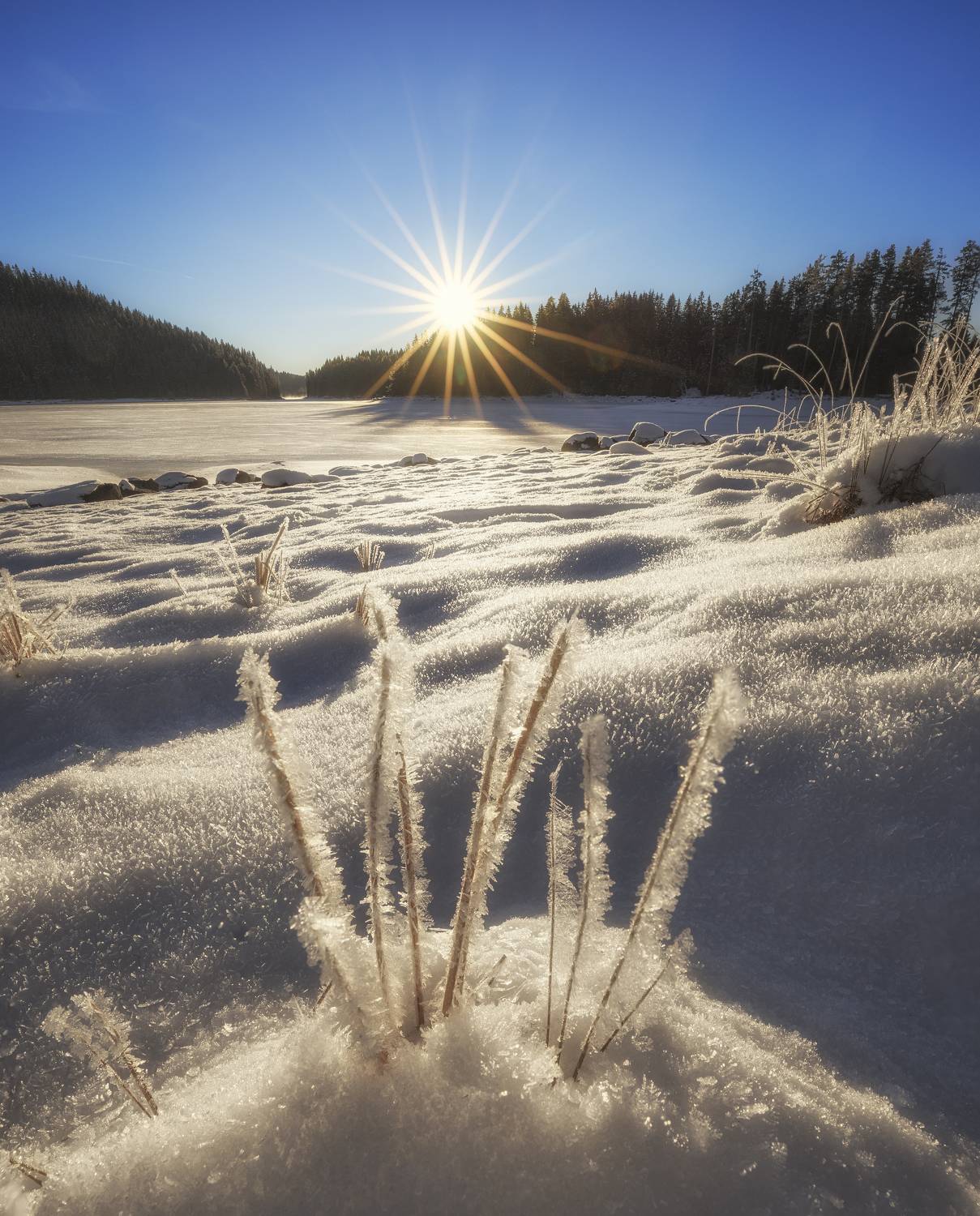 , Костадин Маджаров