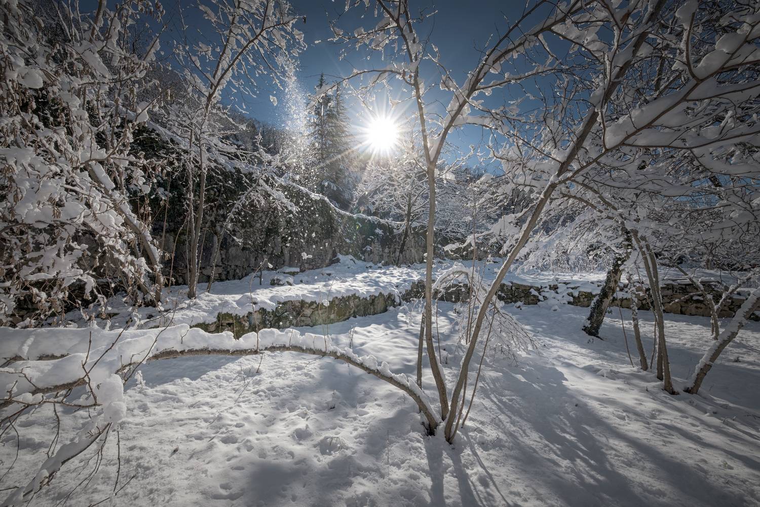gelati, winter, sun, snow, trees, january, mountains, monastery, landscape, scenery, travel, outdoors, georgia, imereti, sakartvelo, chizh, Чиж Андрей