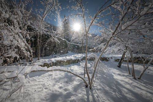 Winter Day In Gelati Monastery