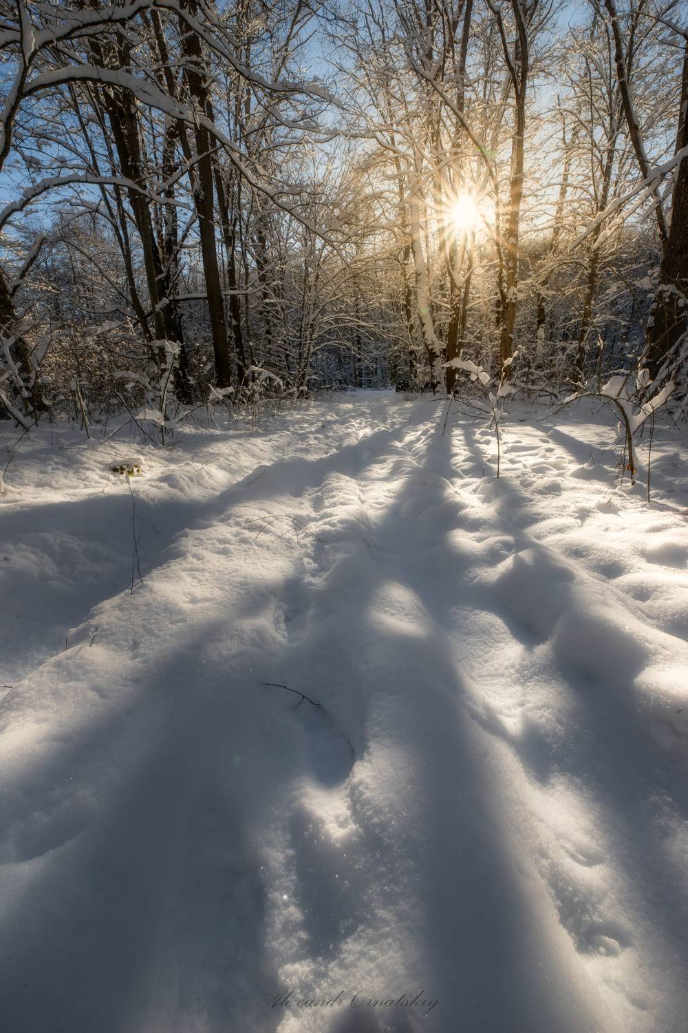 , Орнатский Александр