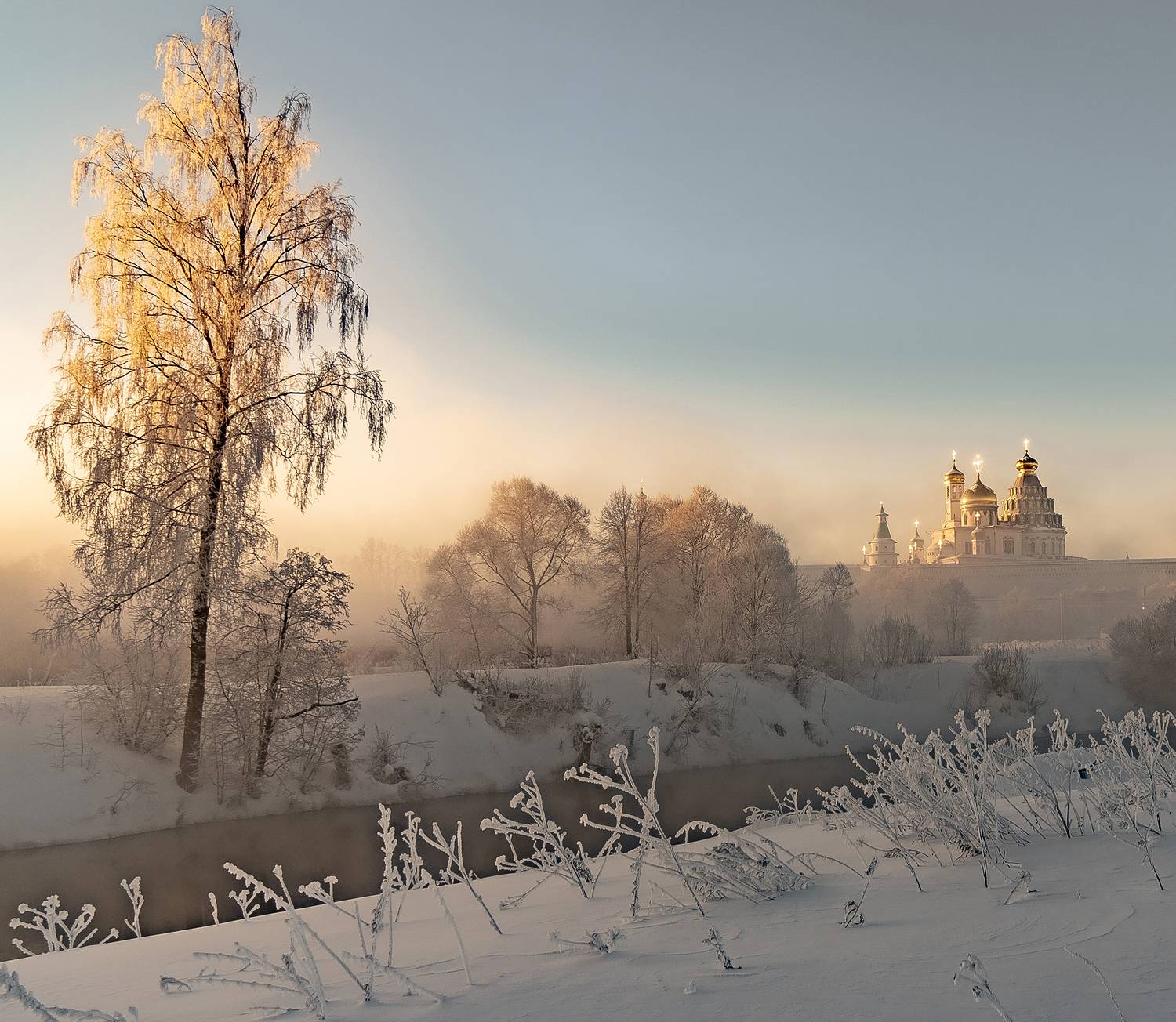 , Добродий Михаил