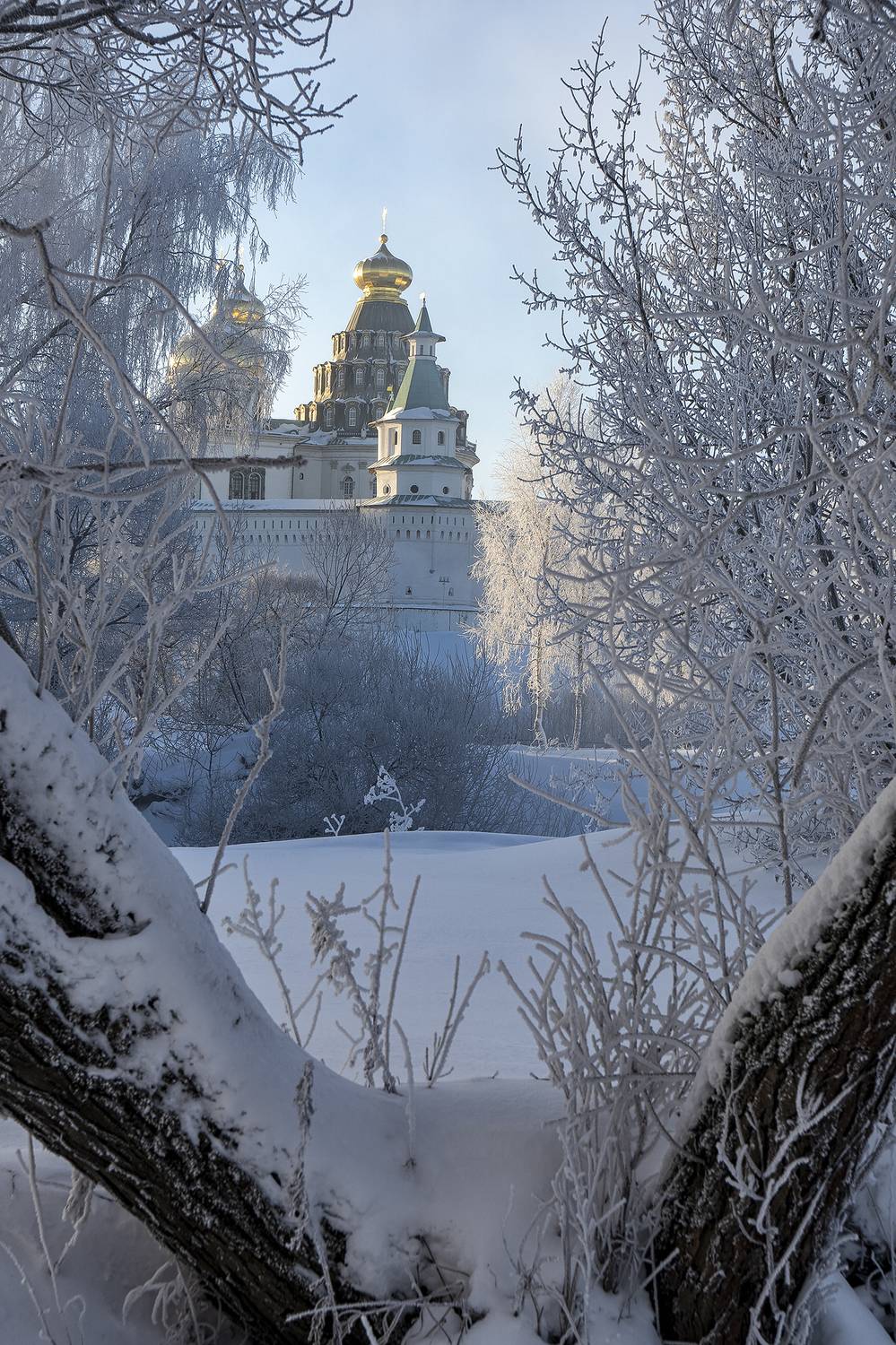 , Добродий Михаил