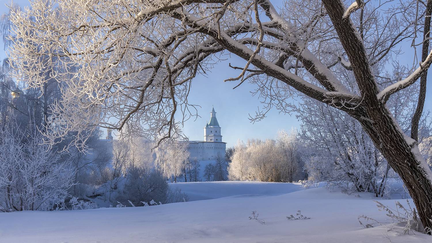 , Добродий Михаил