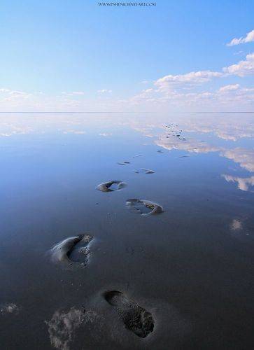 Следы на воде