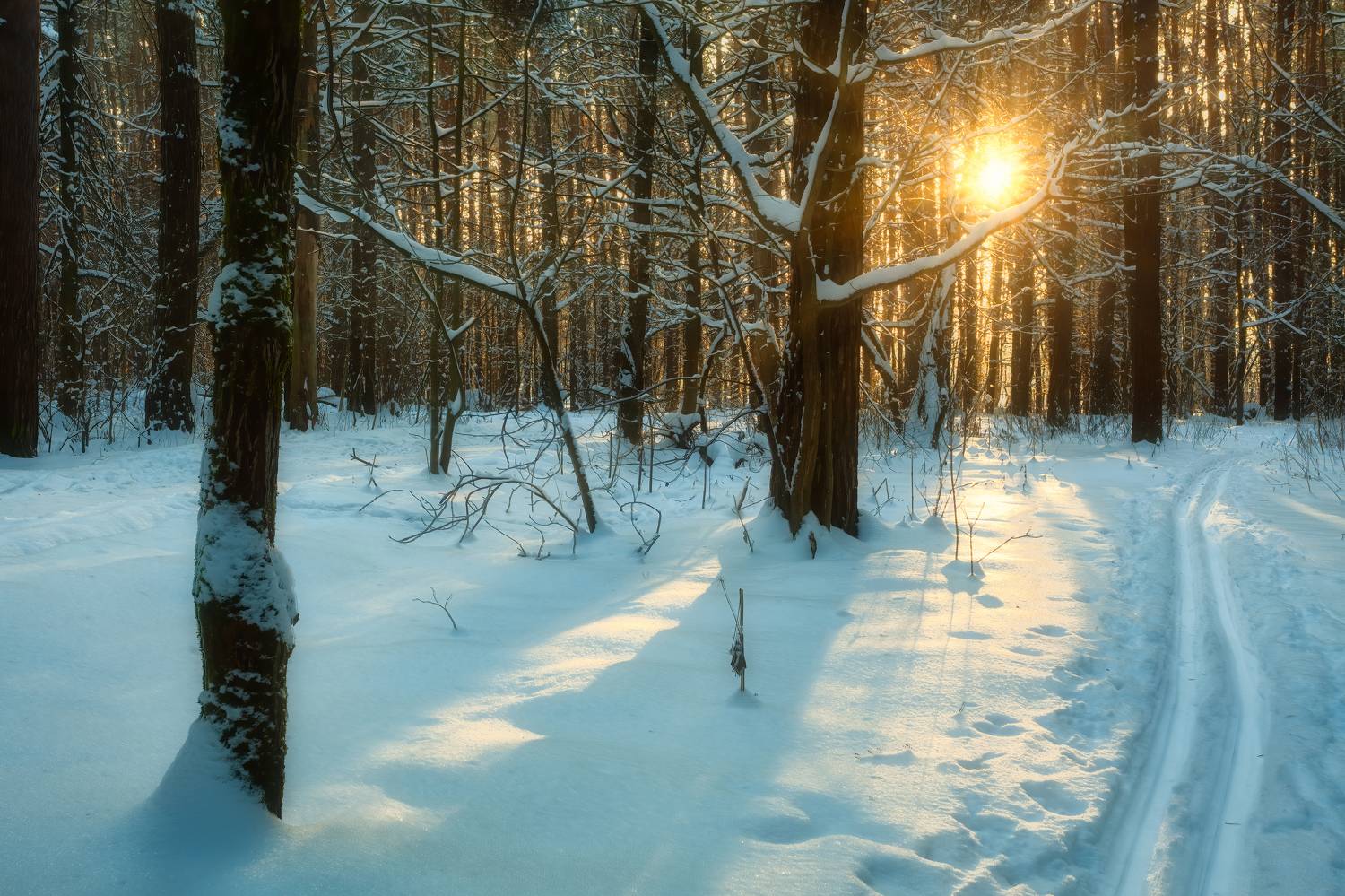 , Васенков Геннадий