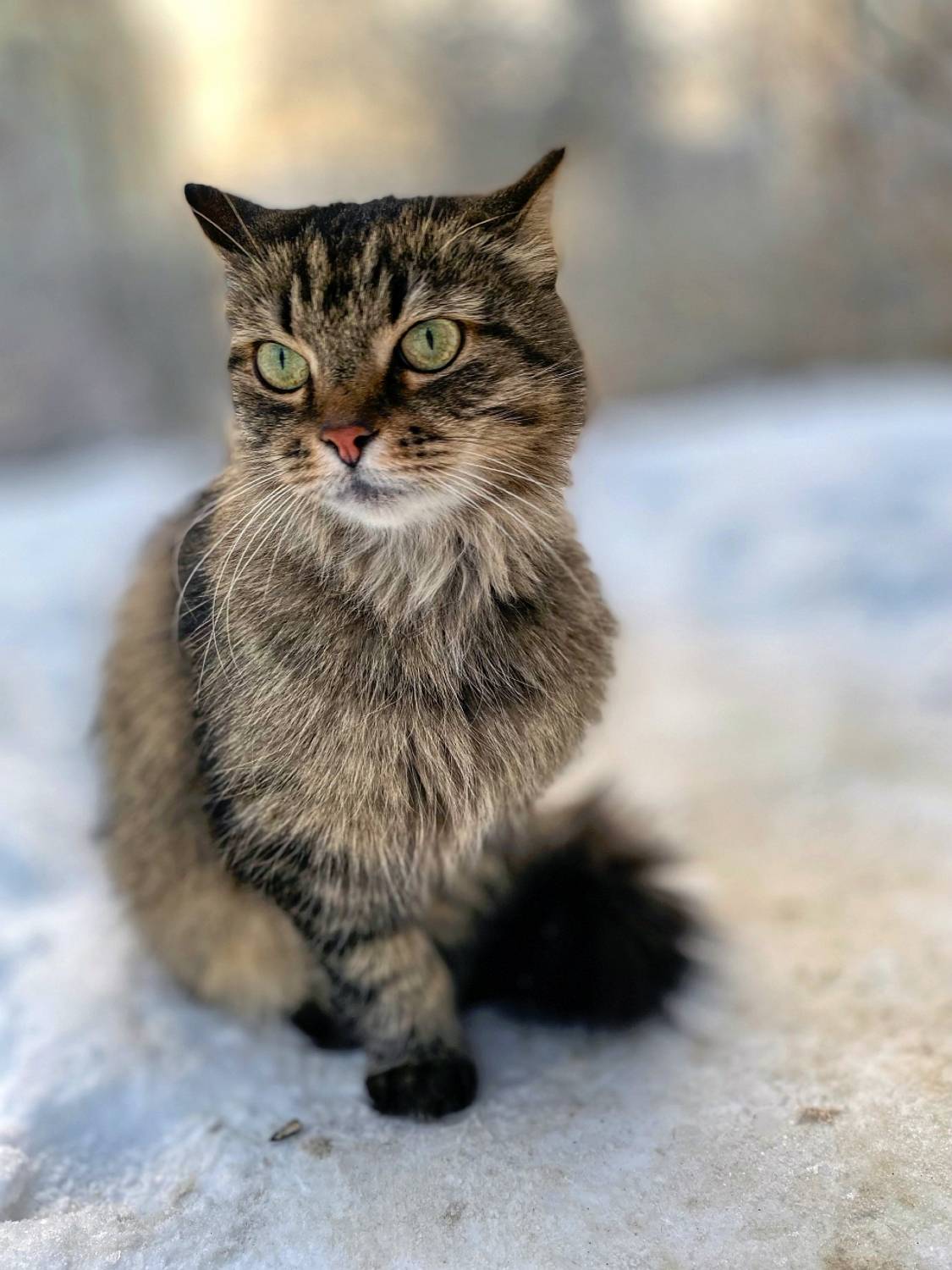 , Орлов Олег