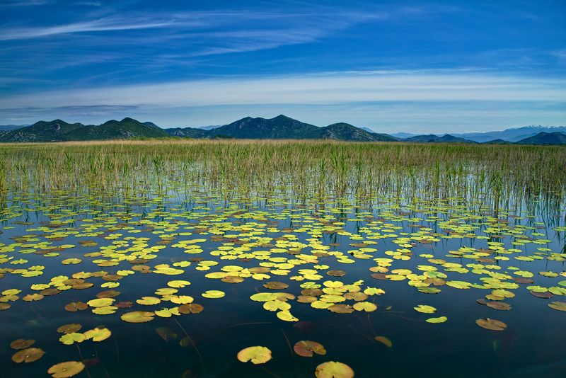 Montenegro фото превью