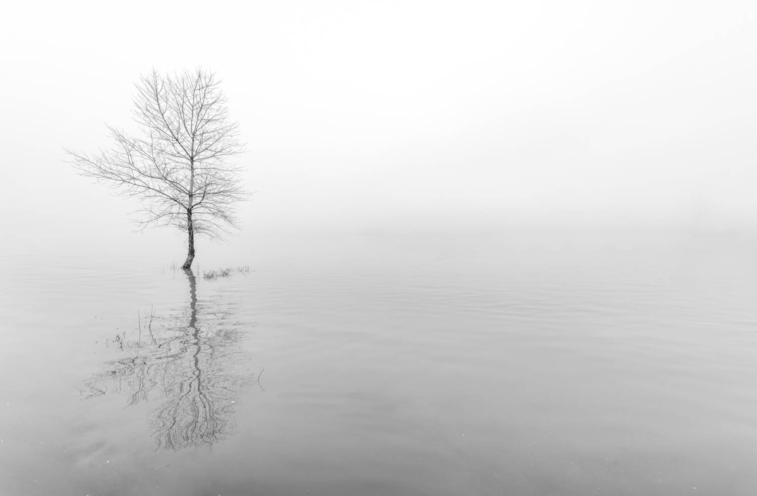 , Konstantin Vladov