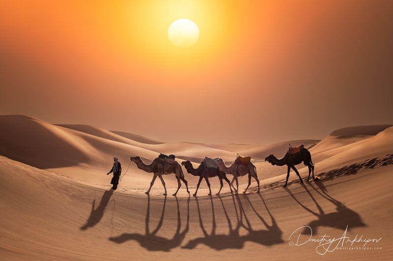 В песках Сахары. фото превью