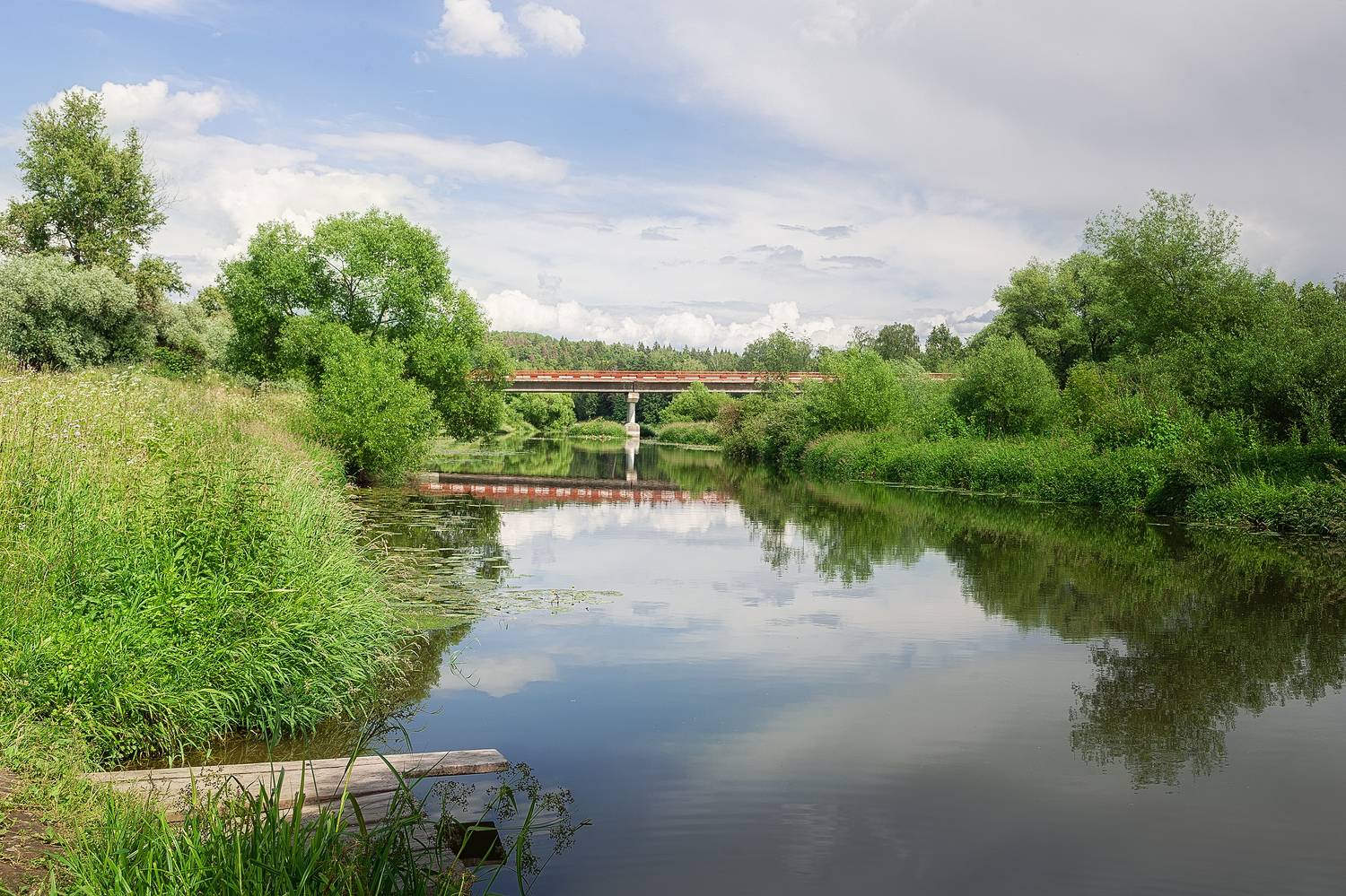 , Загруев Михаил