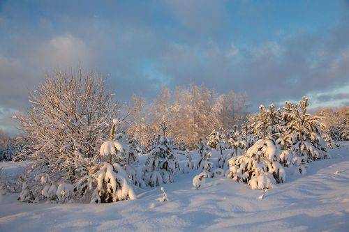 Нежась в закатных лучах