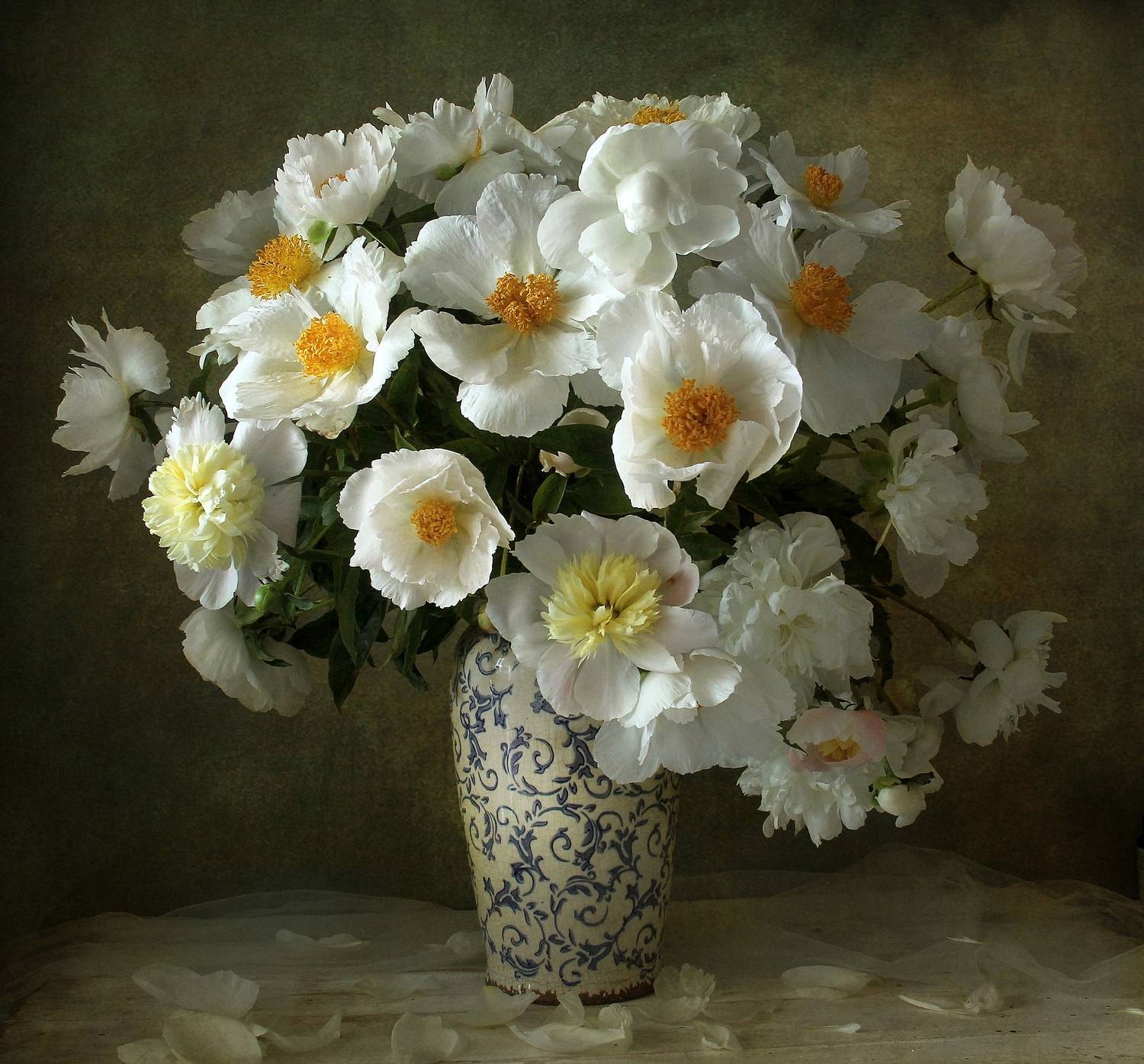 натюрморт, цветы, пионы, лето, марина филатова, Марина Филатова