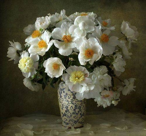 Волшебный сон из сказки чудной