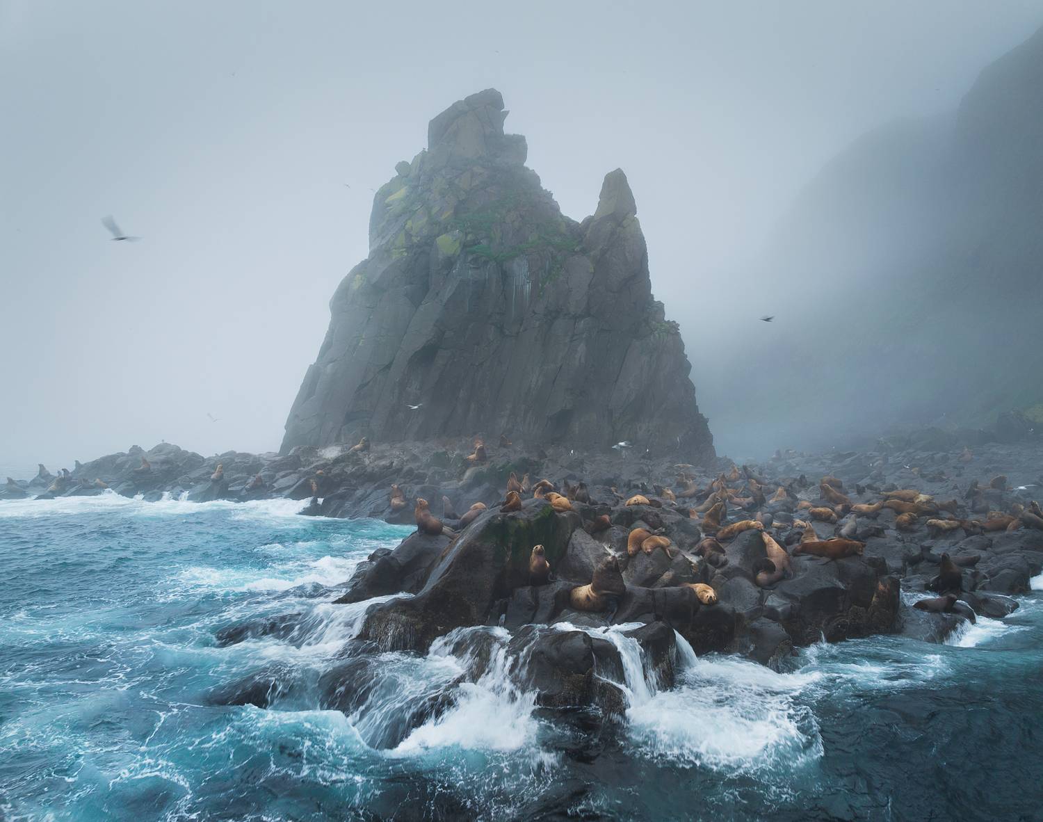 , Антон Агарков