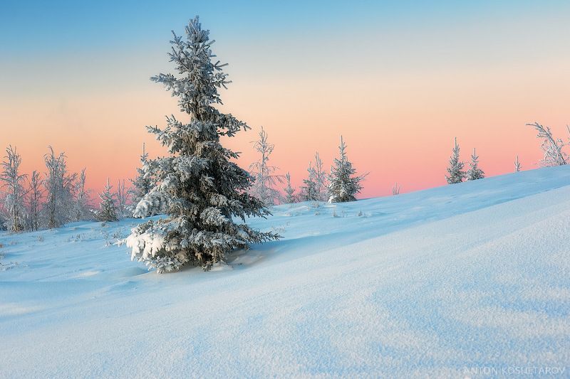 Пермский край, январь 2024г фото превью