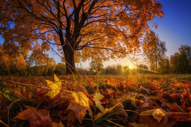 Беларусь Ещё вчера фото превью