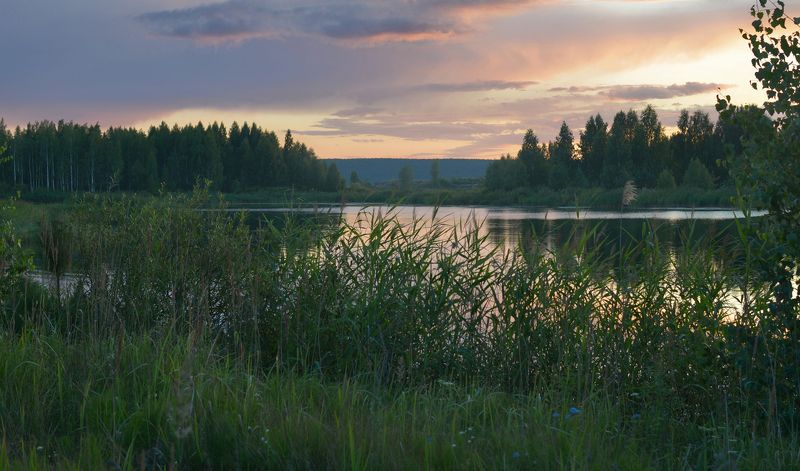 Июльский вечер. Ветрено фото превью