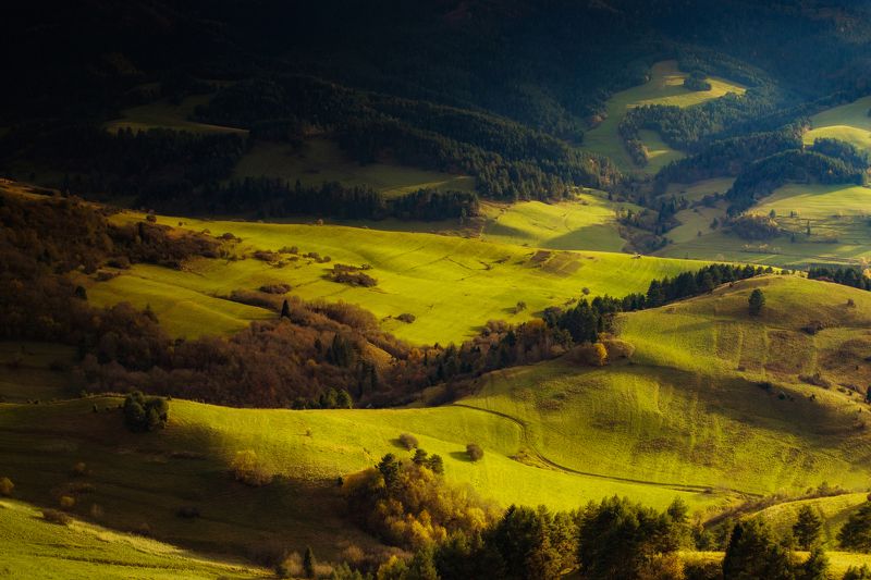 Horizontal, Agriculture, Nature, Farm, Hill, Pieniny, Landscape, Slovakia, Poland, Green, Grassland, grass, Trees, Moutains, Rural Road фото превью