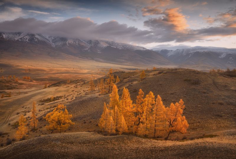 алтай, фототур по алтаю, осень, горы, горный алтай, республика алтай, курай Виды прошлой осени фото превью