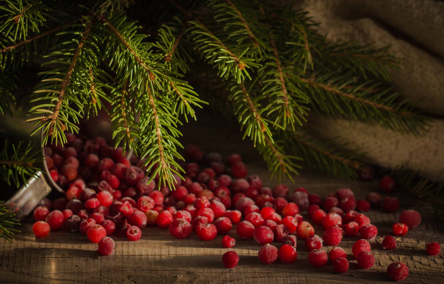 , Хвойнова Елена