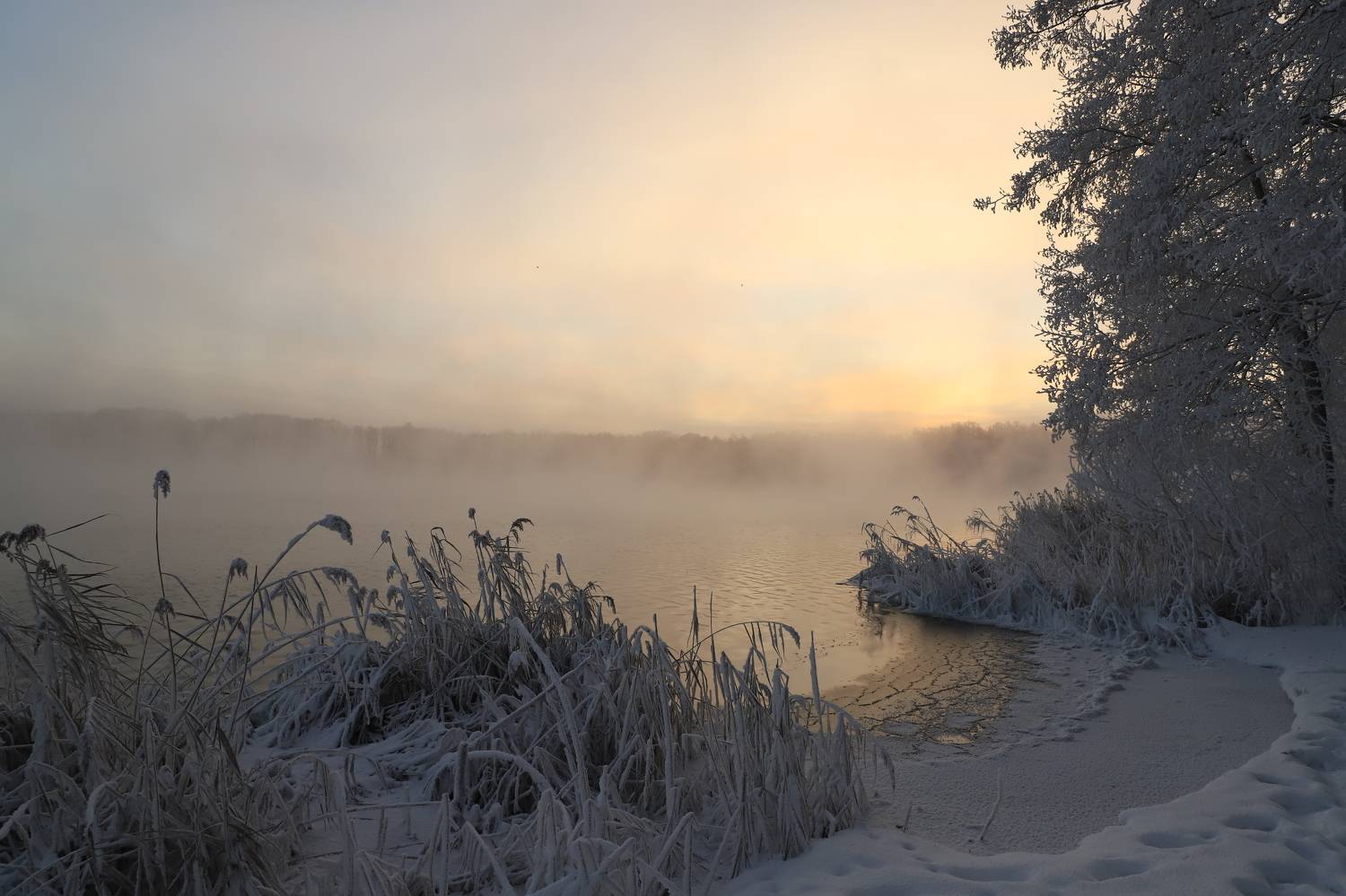 мороз, рассвет, шатура, пар, атмосфера, утро, Irina Solonina