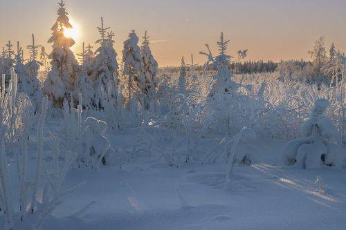 Невысокое солнышко