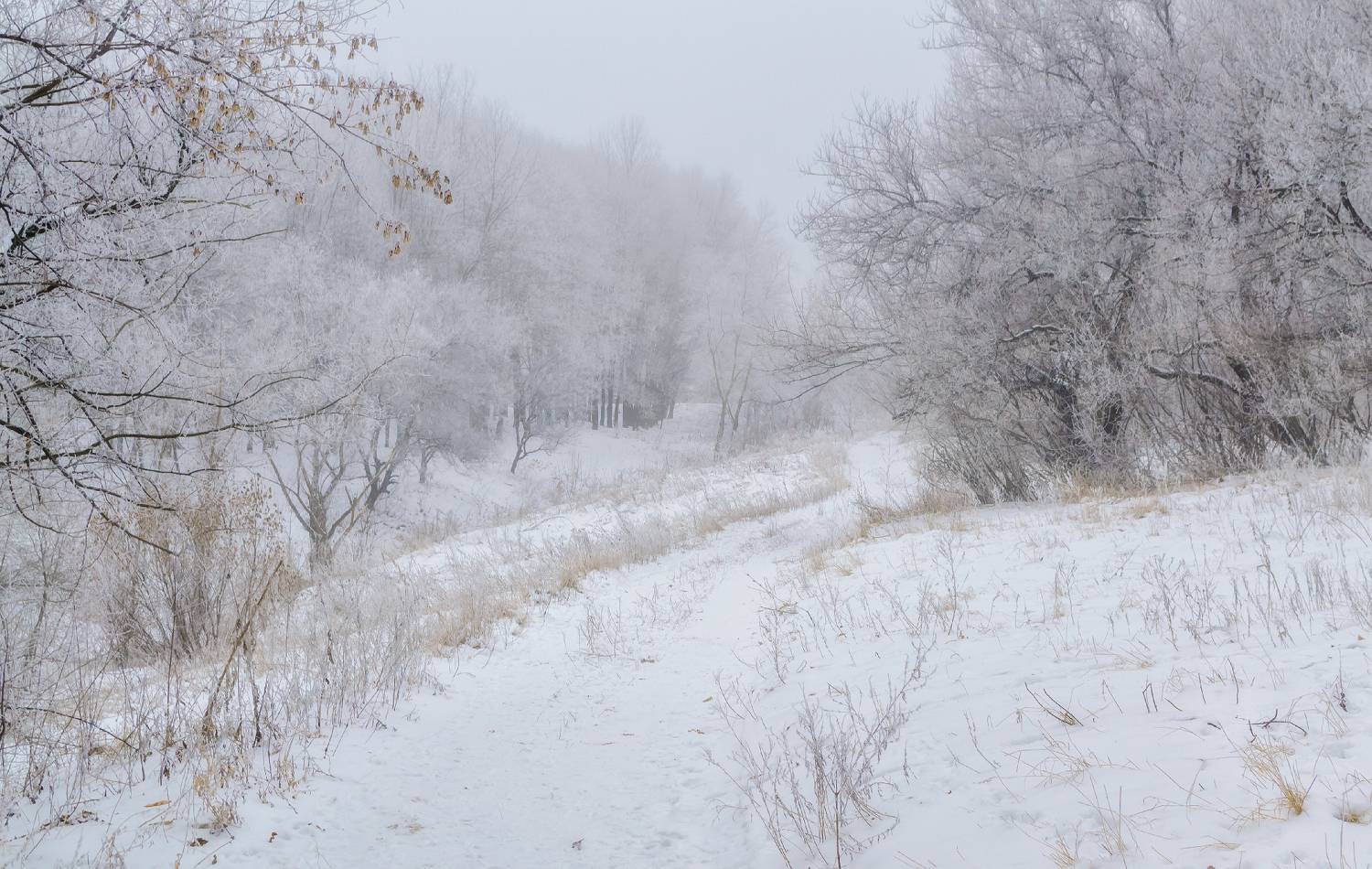 , Лысенко Сергей