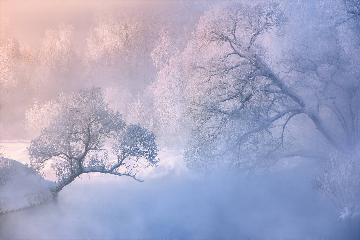 истра, Богорянов Алексей