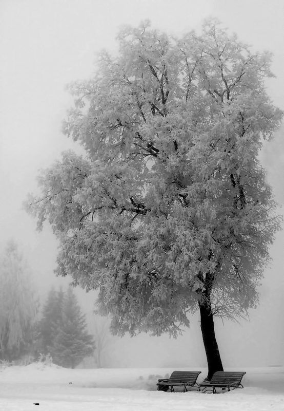 Первый снег фото превью