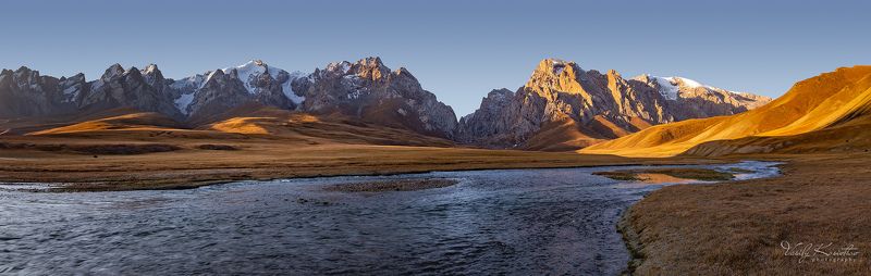 утренний гость фото превью