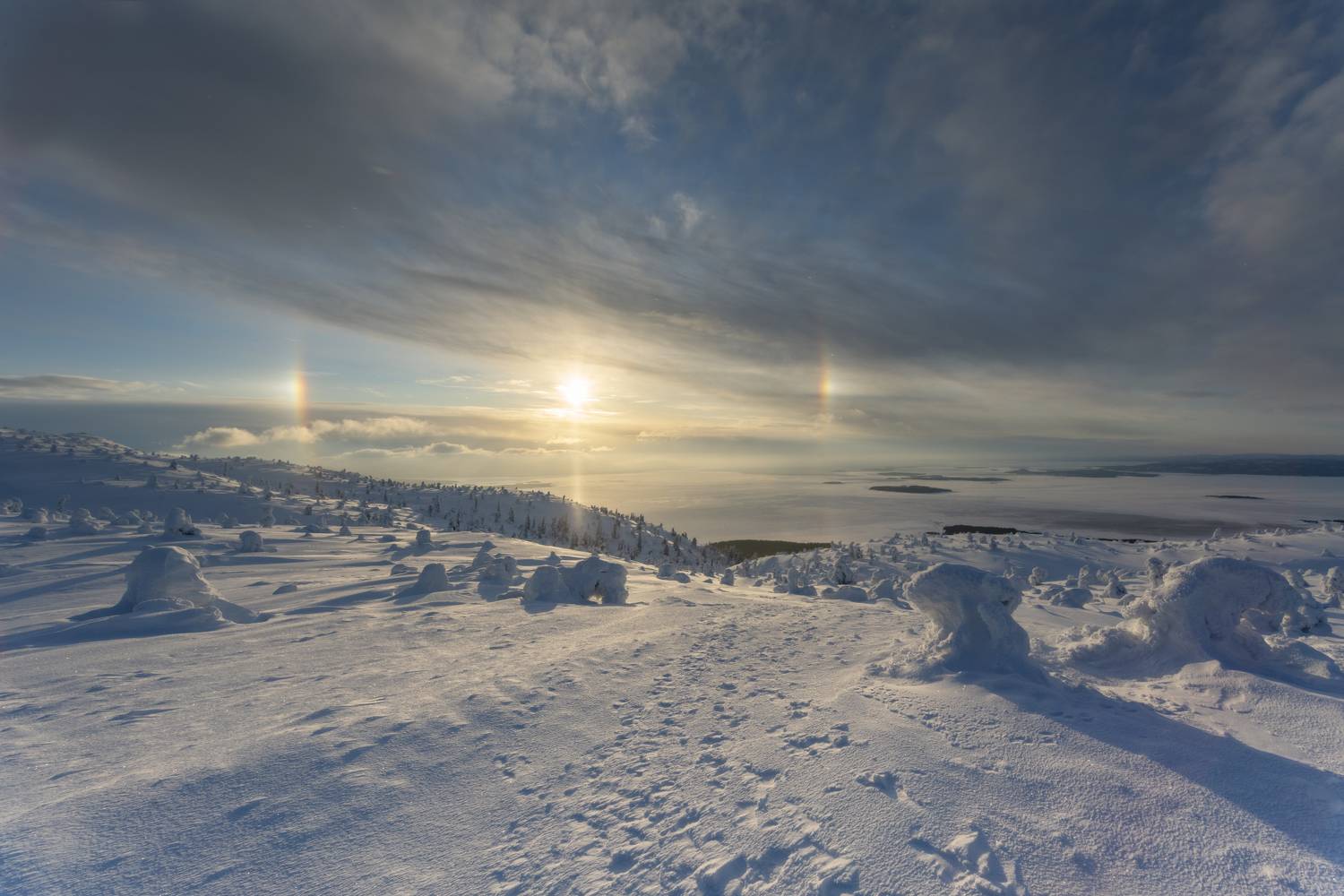 , Юлия Мальцева