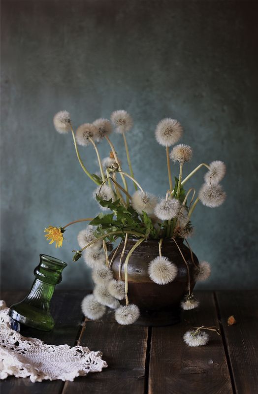 одуванчики, вода, натюрморт, canon5dmark3 Тяга к жизни фото превью