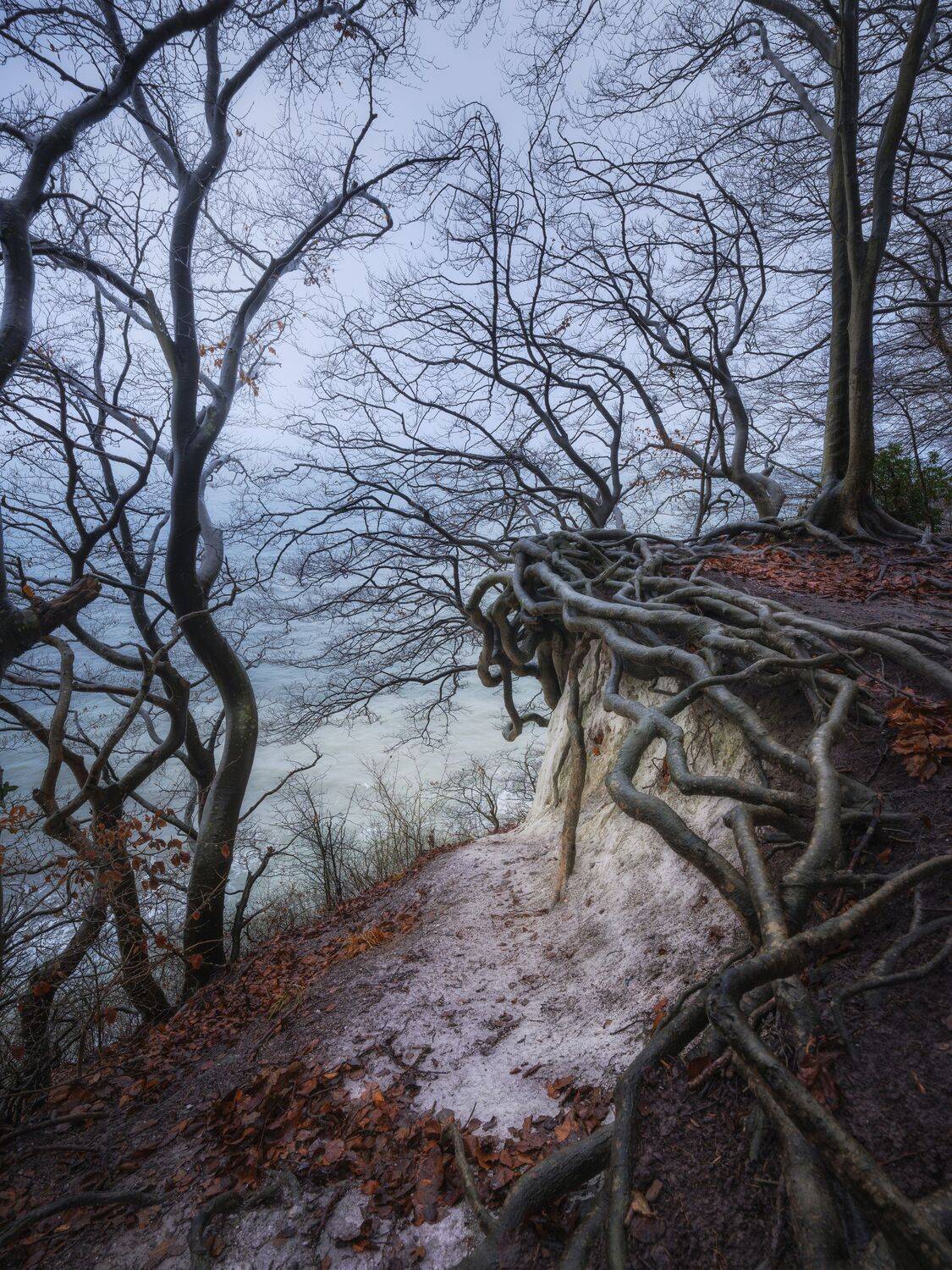 , Михаил Козлов