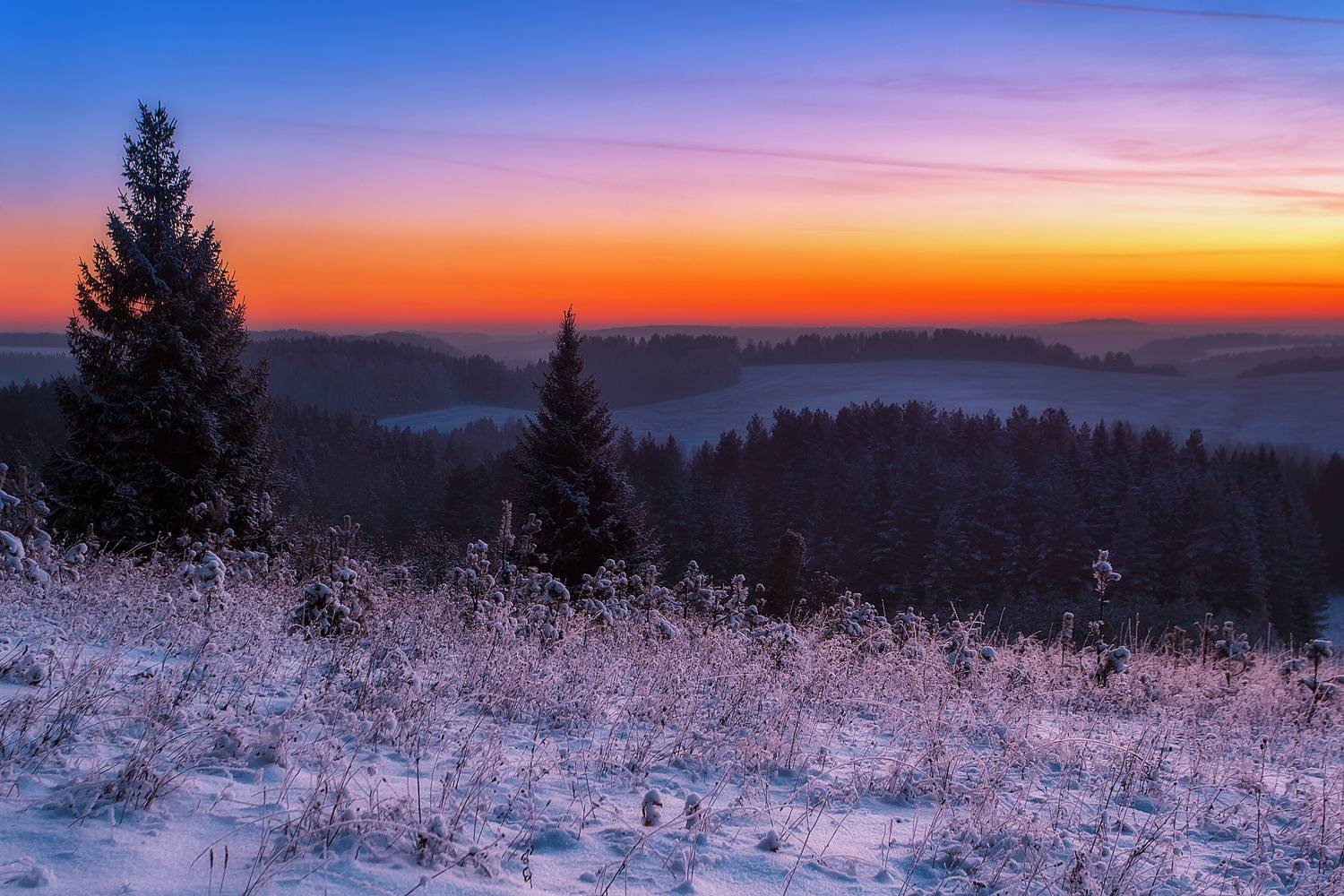 , Lozhkin Vyacheslav