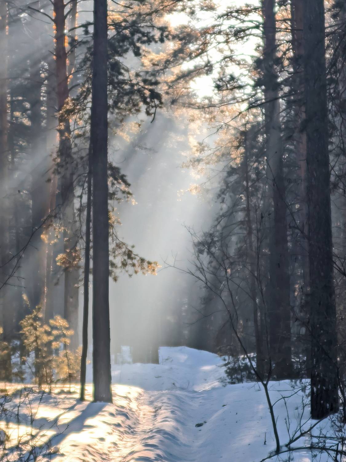 , Кузнецов Дмитрий