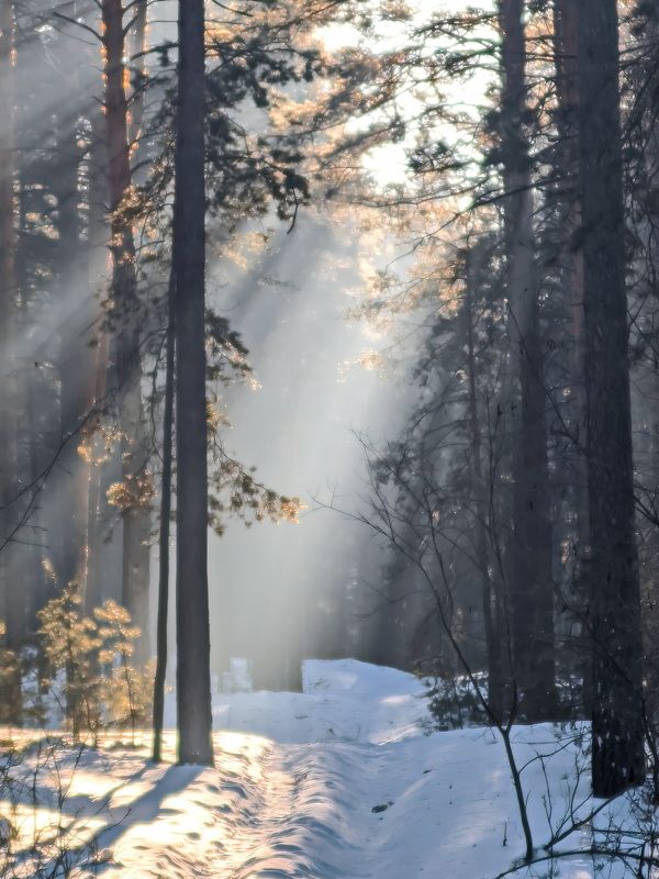 Морозное утро фото превью