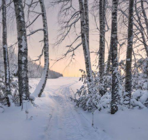 Нежные краски рассвета