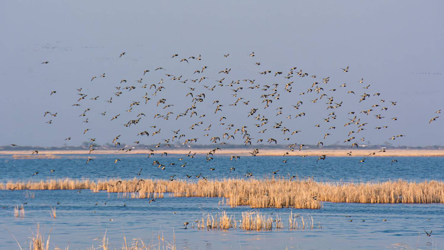 , Савенко Кирилл