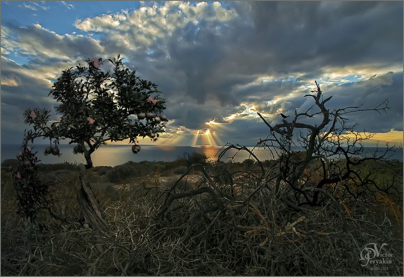 Как красив этот Кипрский вечер... фото превью