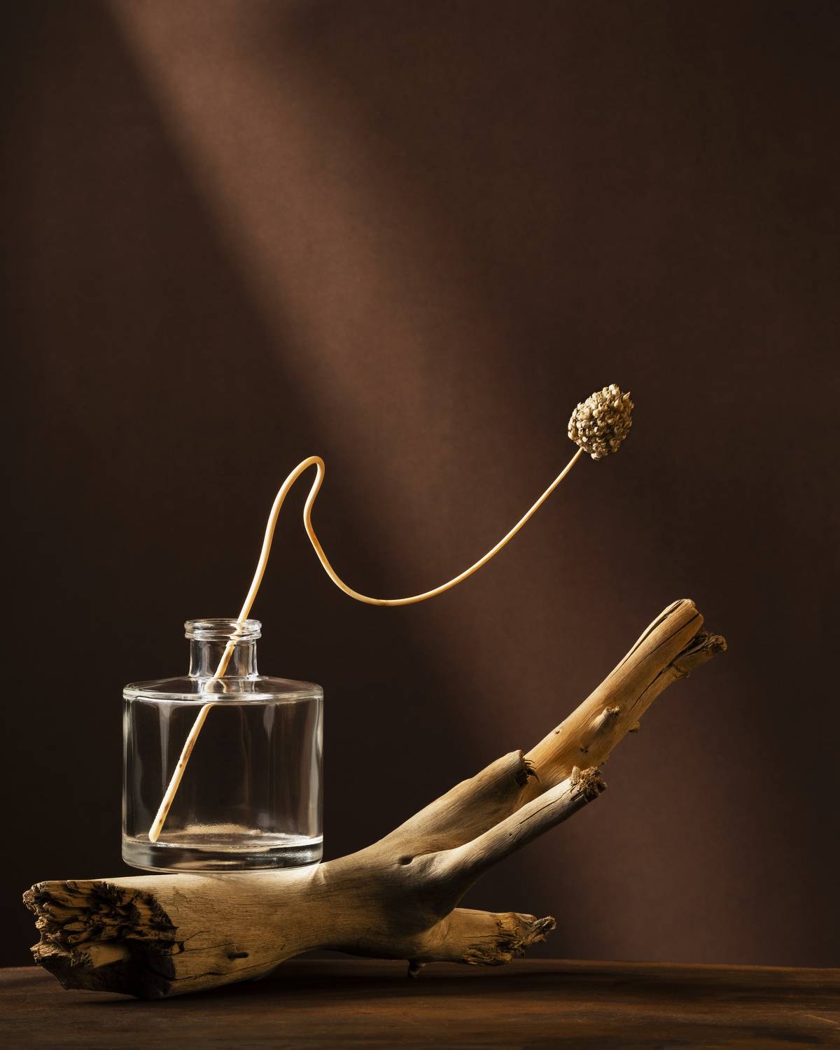 art, design, objects, light, standing, studio, still life, abstract, brown, , Anna Ilieva-Alikaj