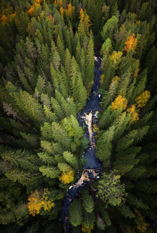 Водопады в карельском лесу фото превью