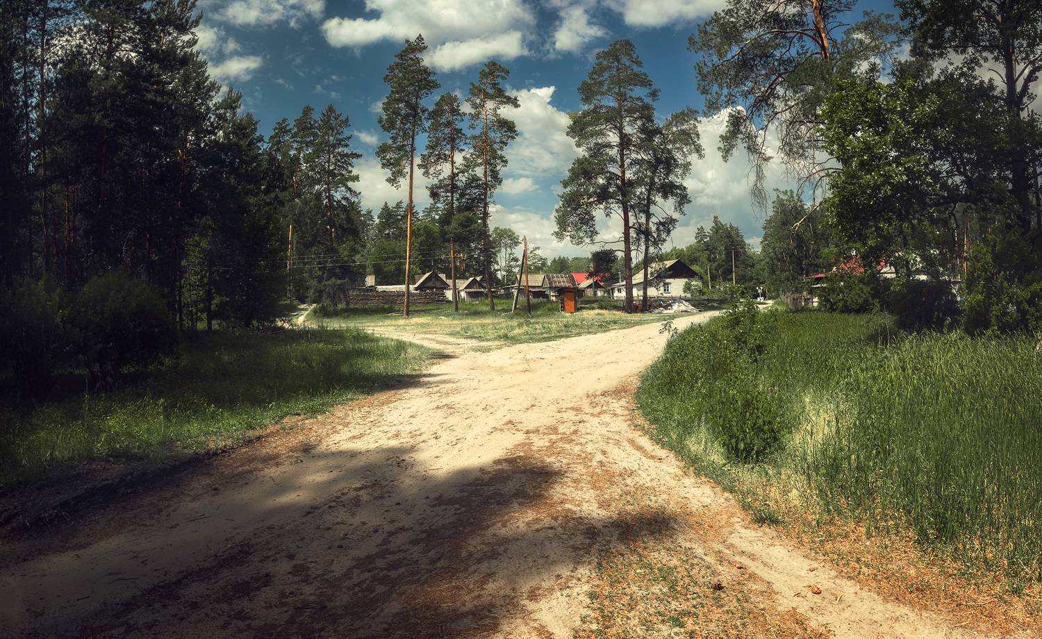 лето, деревня, лес, Андрей Кровлин