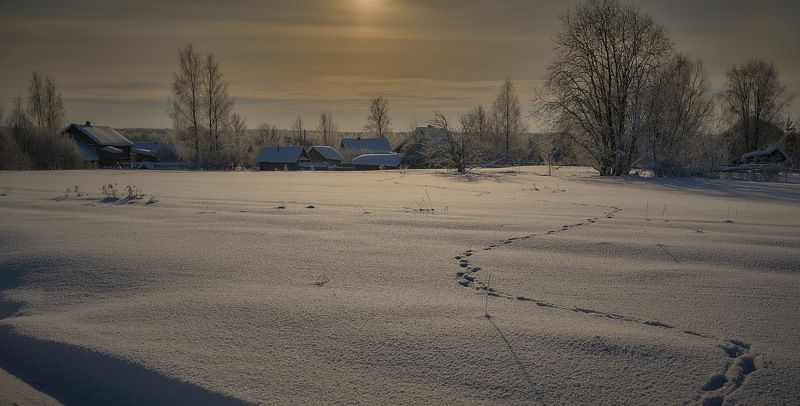 Зимние зарисовки в солнечный день. фото превью