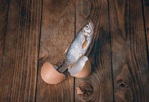 Рождение/Birth